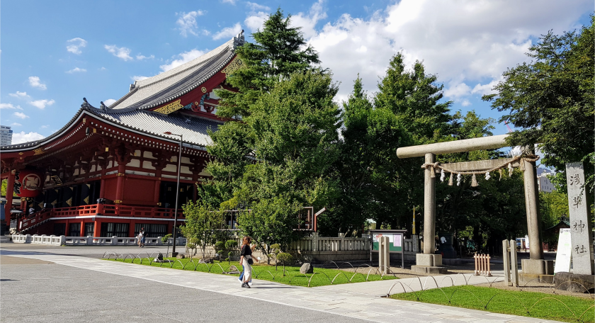 asakusa-shrine-torii