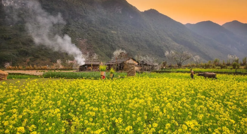 04 days mystic highlands of Ha Giang: Dong Van - Ma Pi Leng - Meo Vac