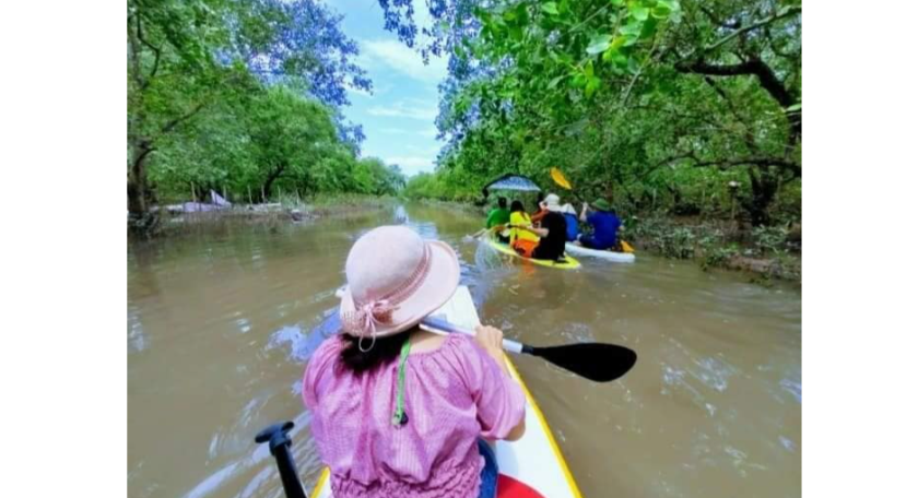 Chào Kyak trong Rừng Ngập mặn