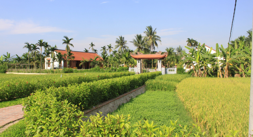 [S.I.C] Yen Duc village overnight: 2 days 1 night