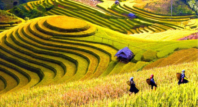 The perfect 3 days Sapa tour