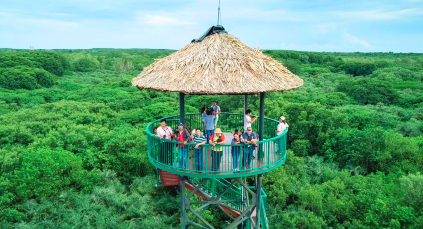 2 days Southern gems: Can Gio – Vung Tau