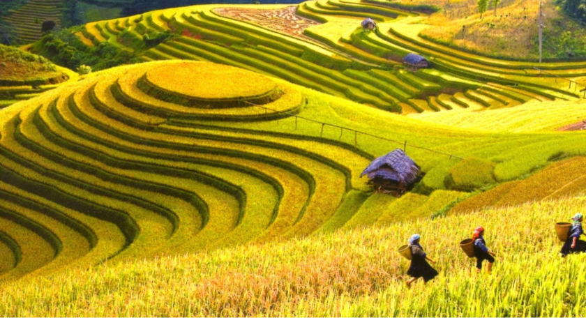 5 days 4 nights Sapa – Ha Giang tour from Hanoi
