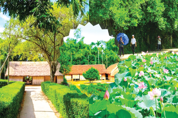 Tour Làng Sen - Quê Bác 1 ngày