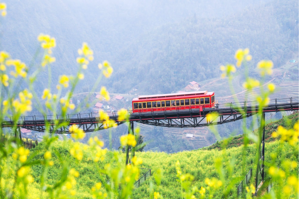 Hanoi - Sapa package 4 days 3 nights