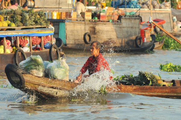 Magic lands along the Mekong river: My Tho - Ben Tre - Can Tho