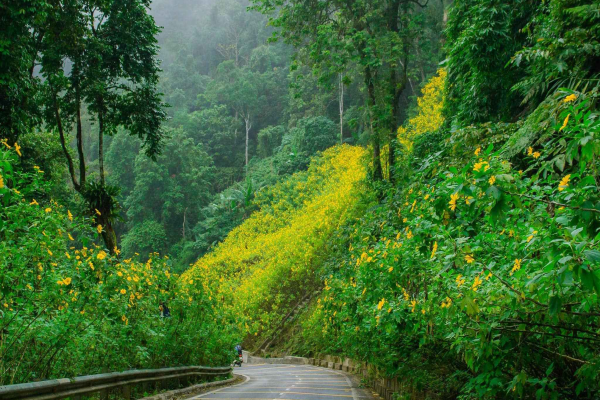 Ba Vi mountain day trip